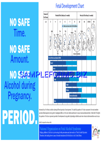 Fetal Development Chart pdf free